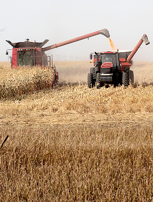 harvest